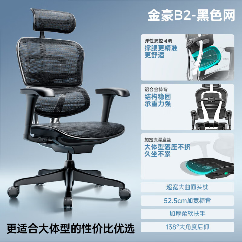 保友办公家具（Ergonor）保友金豪B2代雄鹰人体工学椅电脑椅电竞靠背办公椅 【金豪b2】黑色网 尼龙脚 旋转 升降扶手