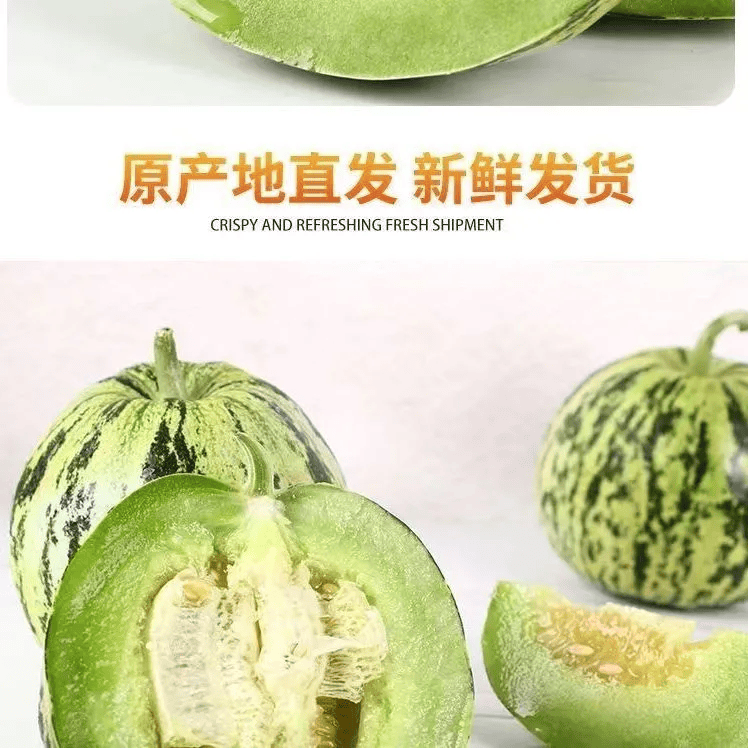 头茬花美人八里香甜瓜花蕾新鲜头茬现摘现发脆甜多汁正 精选5斤