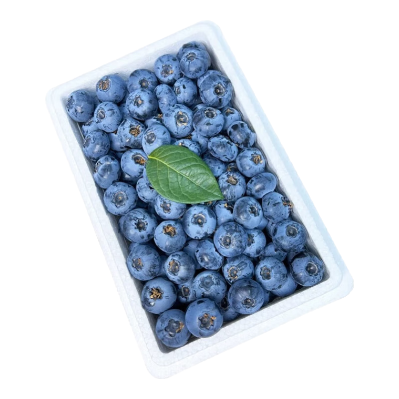 ����L25������ݮ�����֭ԭ�䷢�������и�ˮ�� 500g���й�15mm+