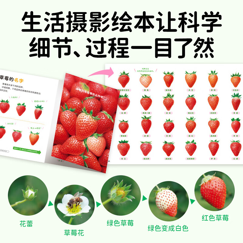 【点读版】好喜欢科学·好喜欢的大自然 3-8岁小学生科普科学摄影绘本 高清实图动物植物天文食物科学实验绘本(点读笔需另外购买) 心喜阅童书 （第1辑）好喜欢的大自然：全11册