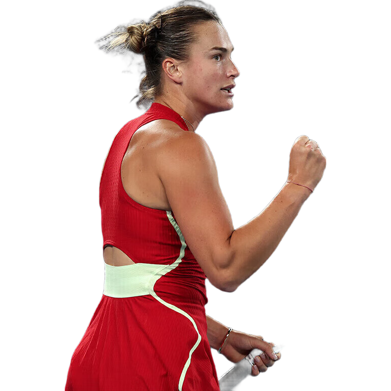 Wilson����ʤ�����ھ������׿�ͬ��ȫ̼��רҵ��BLADE 100 V9 FRM 2