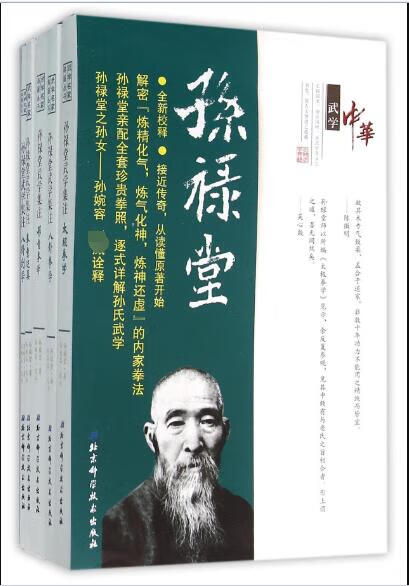 孙禄堂武学集注(共5册)/武学名家典籍丛书