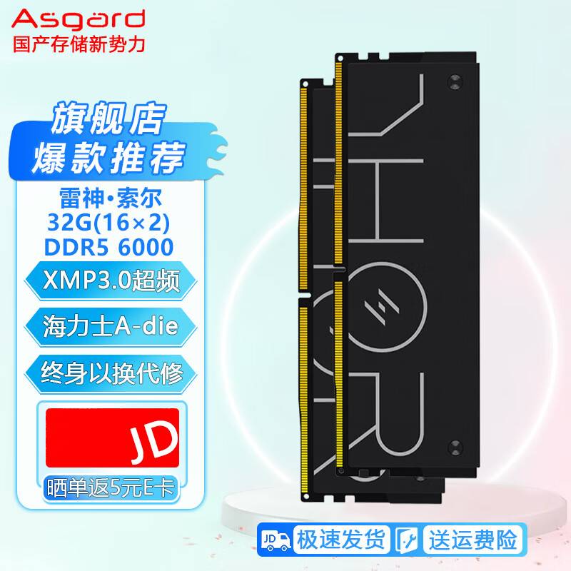 阿斯加特(Asgard)台式机内存适配海景房机箱海力士颗粒DDR5雷神索尔马甲内存条 DDR5 6800黑色A-die C32 32GB 2条套条 (16G×2)