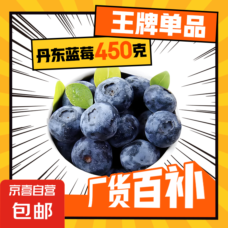 特级丹东粒大脆爽L25大蓝莓4盒 18mm-20mm大果净重450g