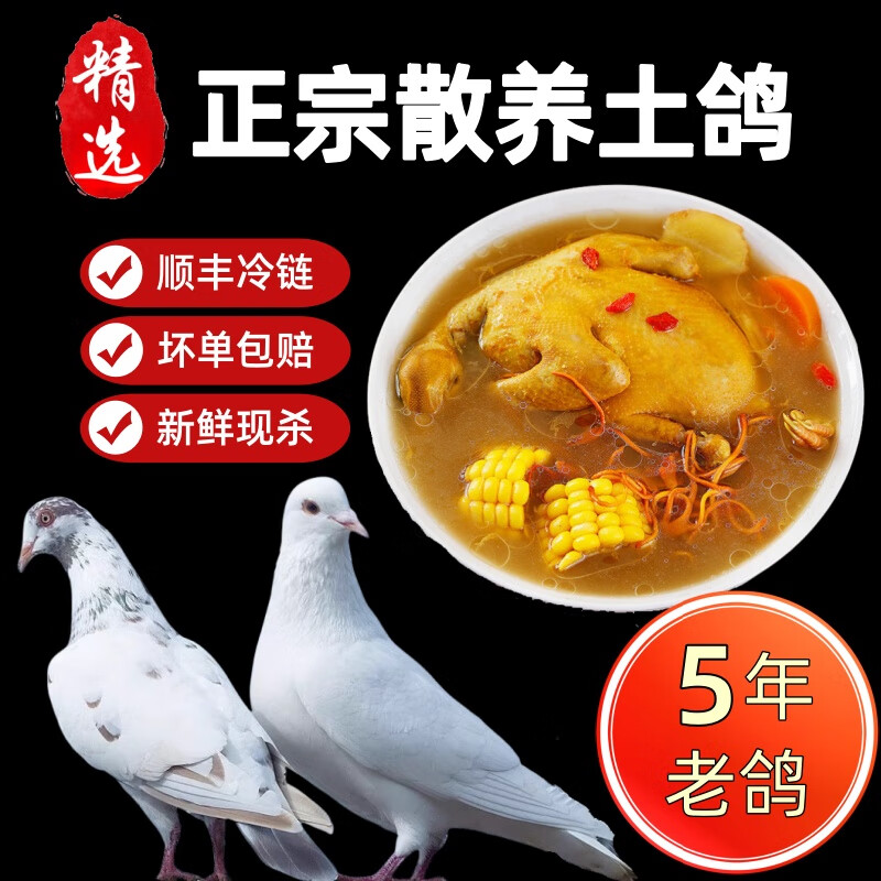 oein鴿子肉鴿子新鮮現(xiàn)殺5年土鴿子新鮮鴿子燉湯散養(yǎng)老鴿 【適合紅燒】1年土鴿2只單只7兩以上