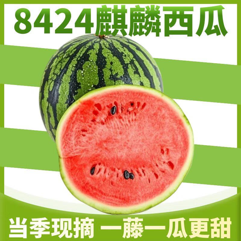 晟容果蔬8424麒麟西瓜当季现摘新鲜水果云南美都甜西瓜糖心沙瓤手剥薄皮瓜 净重4-5斤(1个装)严选装