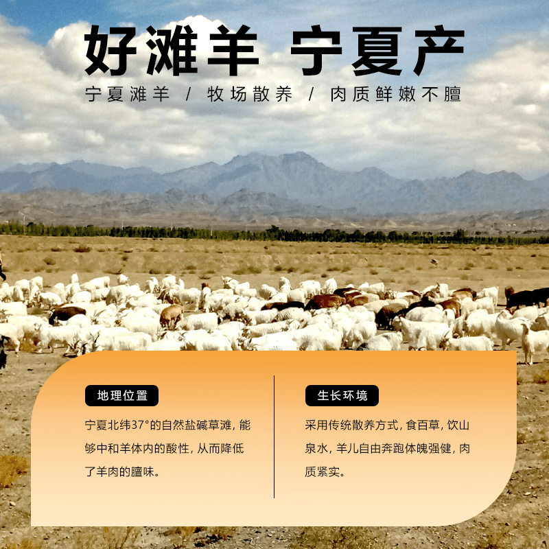 【JD旗舰店】午羊 宁夏滩羊原切羊蝎子 1000g