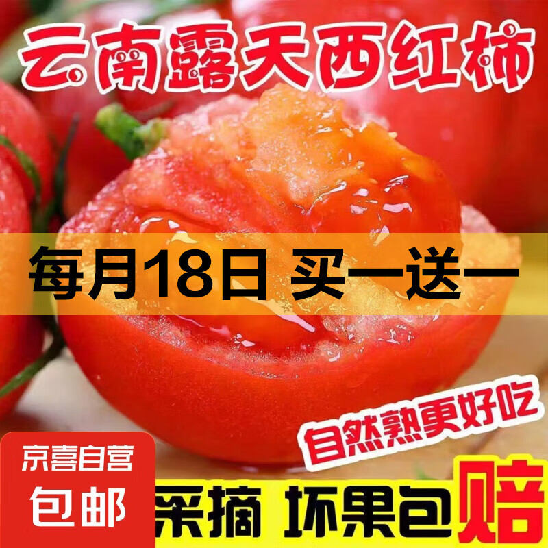 正宗云南沙瓤西红柿天然自然成熟番茄可生吃新鲜现摘应季 精品小果(单果60g+) 2斤 带箱