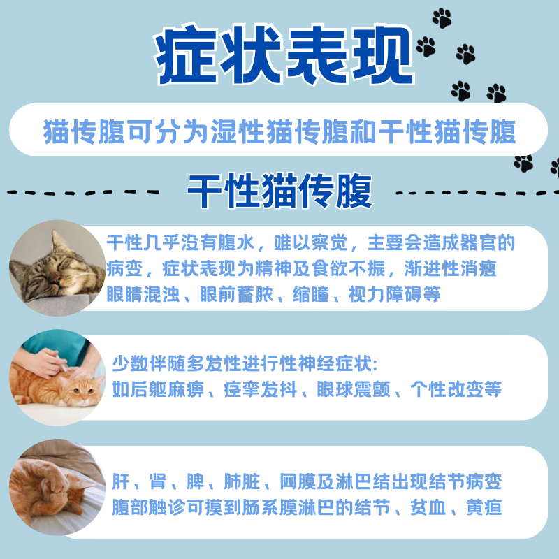 44I1猫腹传干性反复发烧黄疸湿性有腹水食欲差片剂猫腹传 加强版油剂6ml20浓度9瓶
