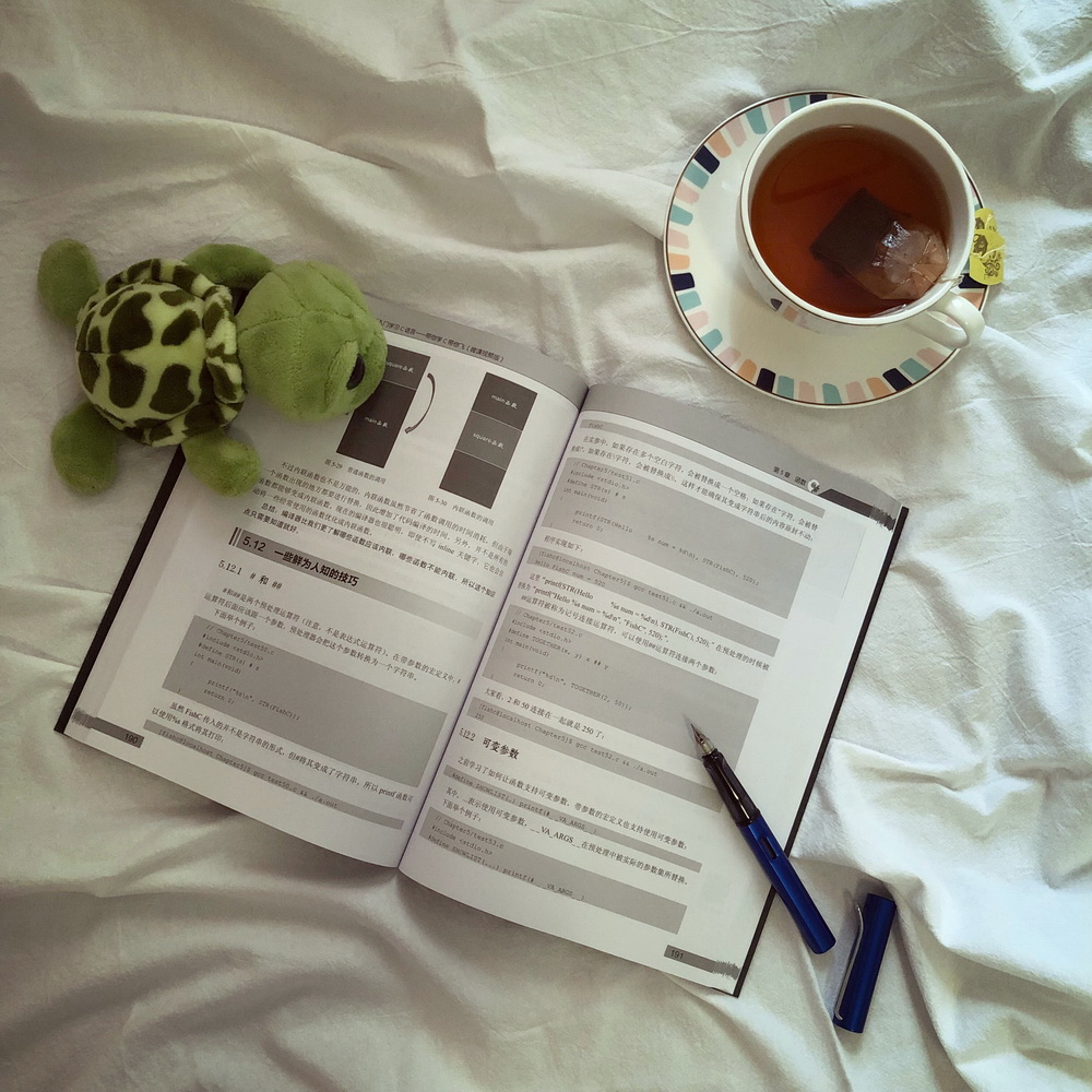 零基础入门学习C语言：带你学C带你飞（微课视频版）