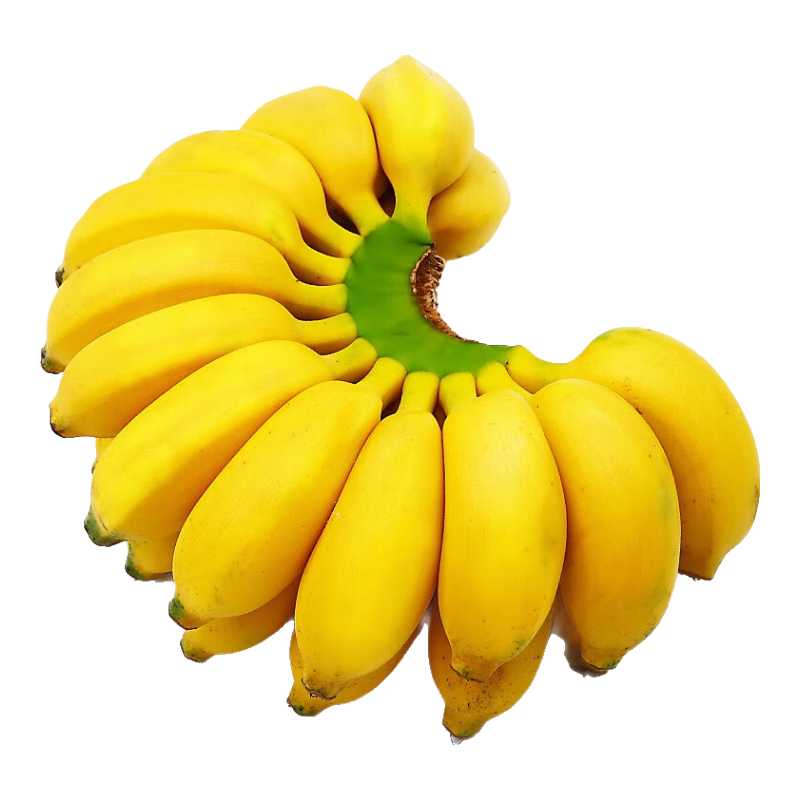 ڹɽ㽶2025ˮ䵱Ȼ۽Сƻ 5ﾻ4.5졿 16.9Ԫ