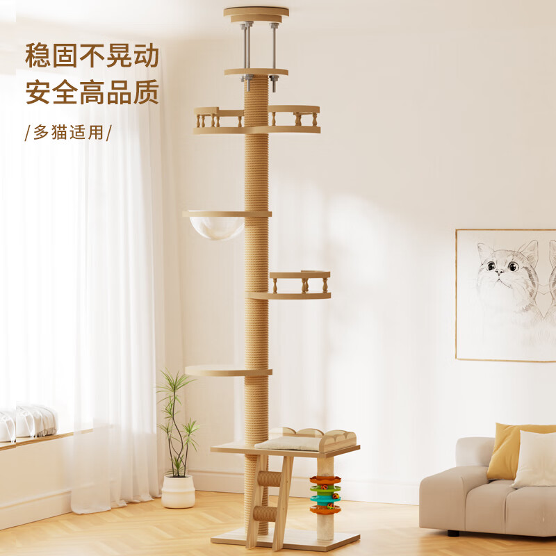 ���׼���ͨ����è���ܶ�������è��è����˯һ��С���Ͳ�ռ�ط�ʵľè���� �ײ�MT-3[����2.5-2.8��] 215Ԫ