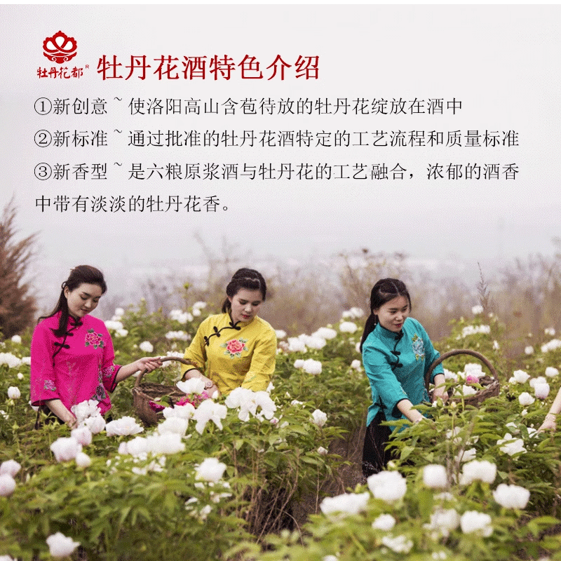 牡丹花都52度两瓶装牡丹花酒配制酒450ml*2瓶清雅花香端午节聚会口粮酒 52%vol 450mL 2瓶