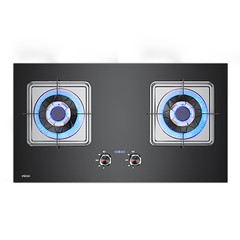 ļ ˫ȼ 5.0kW1Ч317.6Ԫȯ