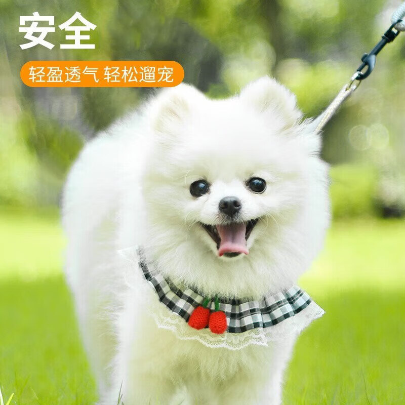 拉维佩特（LOVINGPET） 狗狗牵引绳胸背带 泰迪狗绳子可调节幼犬牵引绳小型犬遛狗绳子 蓝色 M 7-15斤左右 胸围35-60cm