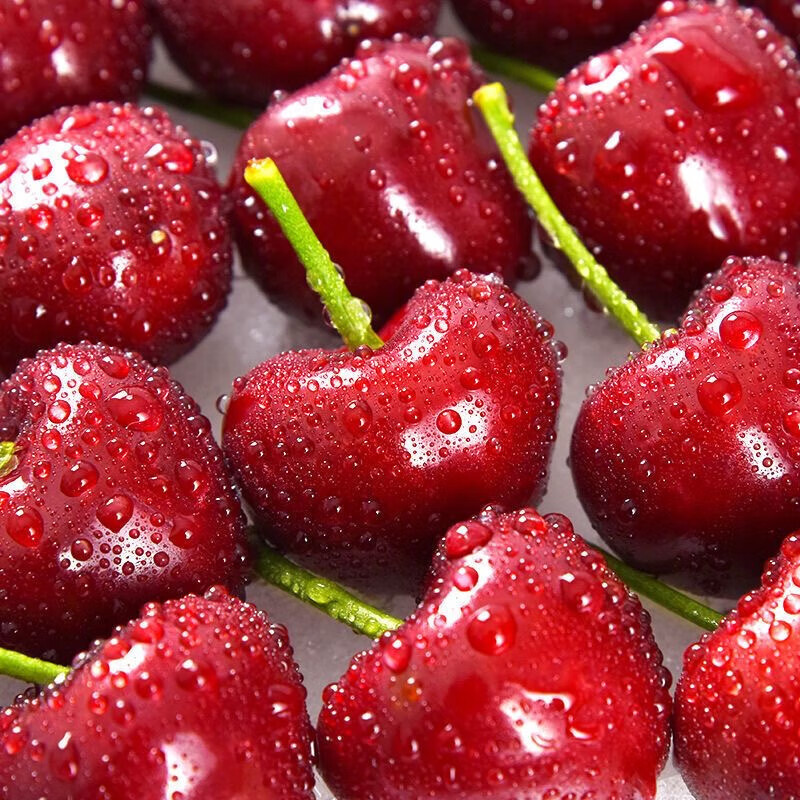 山东大樱桃SSS国产车厘子水果 新鲜水果时令生鲜孕妇水果樱桃礼盒 中果带箱5斤（净重4斤）22-26mm 单果果径源头直发包邮