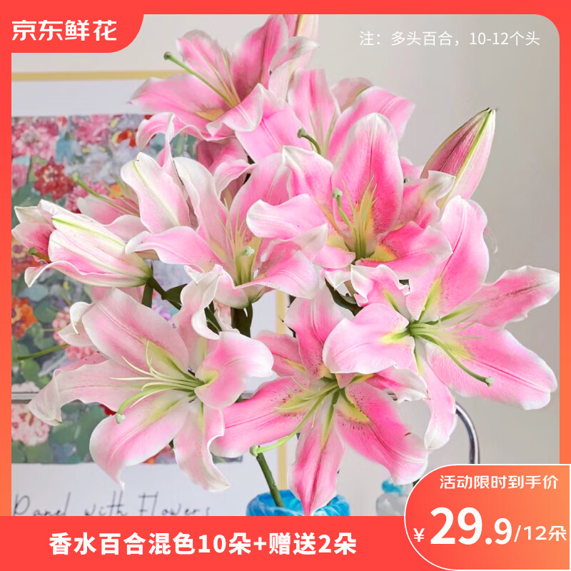 京东鲜花香水百合云南基地鲜花随机色10朵+2朵送家人女友节日礼物源头直发
