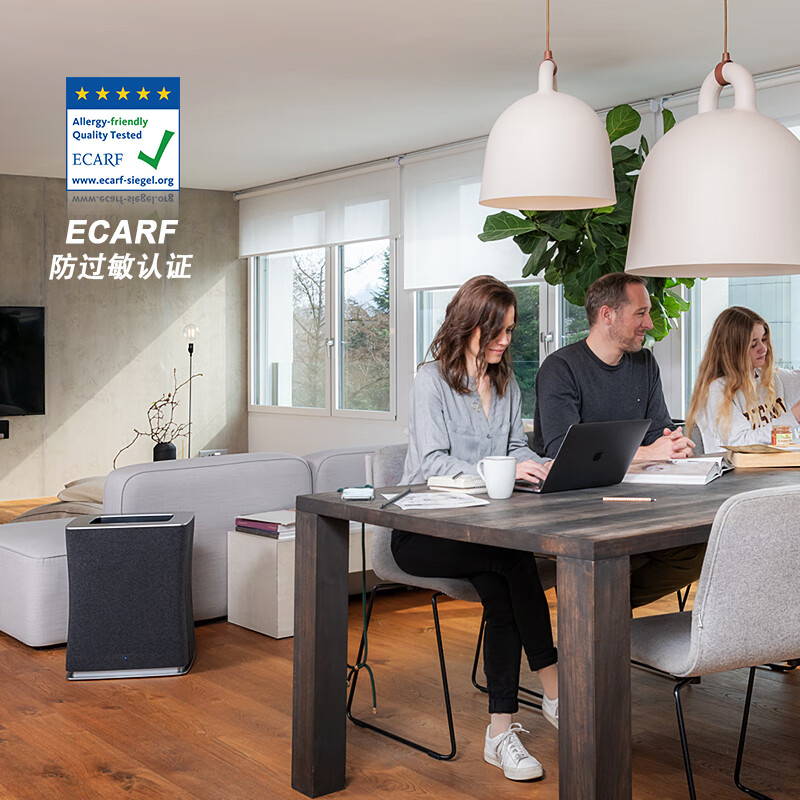 斯泰得乐(Stadler Form)空气净化器家用除甲醛除异味除雾霾 卧室空气伴侣除PM2.5智能联网Roger big Roger big