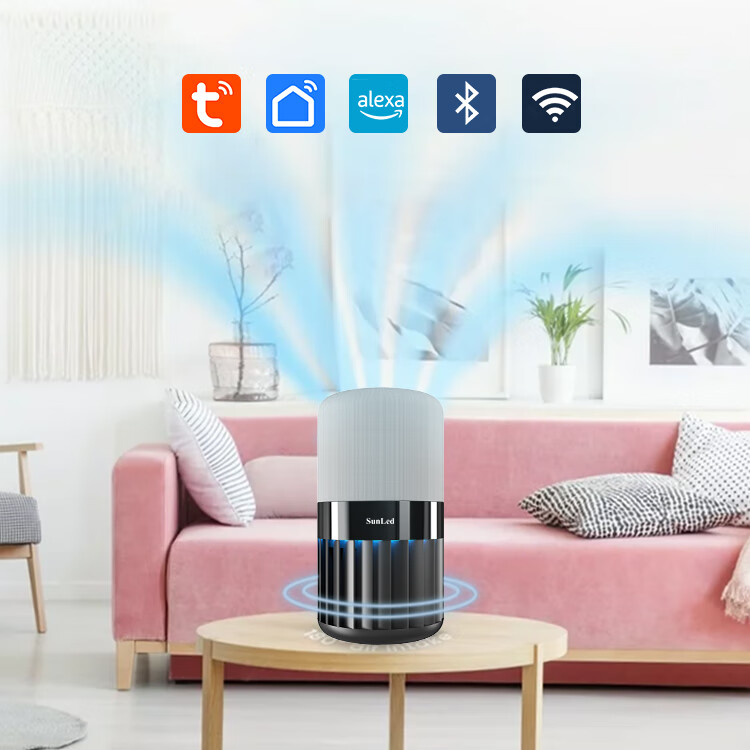 isunled 空气净化器家用除甲醛抗菌吸烟宠物小型净化机除尘除可吸入颗粒 黑色 智能款