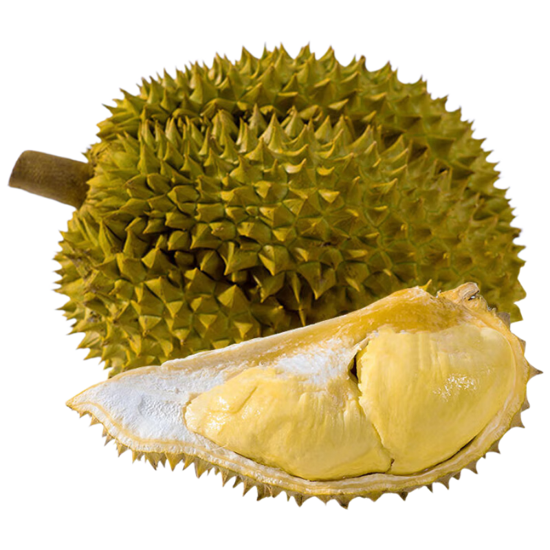 ������ ���� 7.5-8.5��