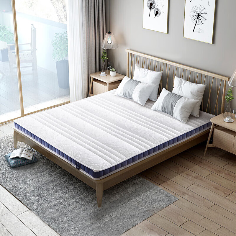 天壇家具 床墊 3E椰棕床墊硬棕墊無(wú)膠水護脊學(xué)生棕墊宿舍家用床褥墊 輕奢A款厚7cm(棕4cm） 1350*2000