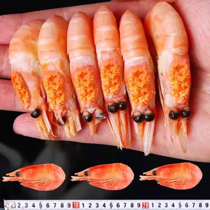 LZJV进口北极熊头籽甜虾熟冻甜虾25年新货大号甜虾原装原盒顺丰包邮 原盒北极甜虾1盒 5kg(净重)  1公斤60只到80只