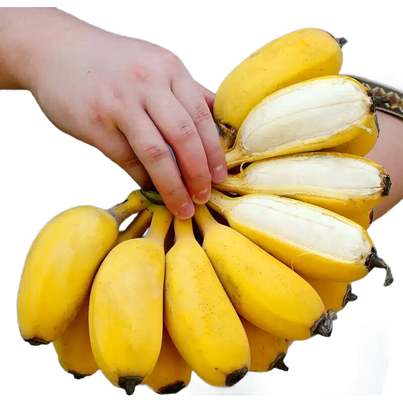 С�׽� 2�� ������ժ��Ƥ���������ˮ�� 5.99Ԫ