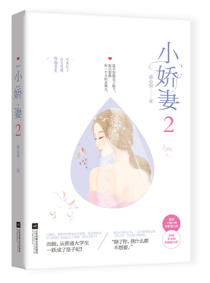 小娇妻2