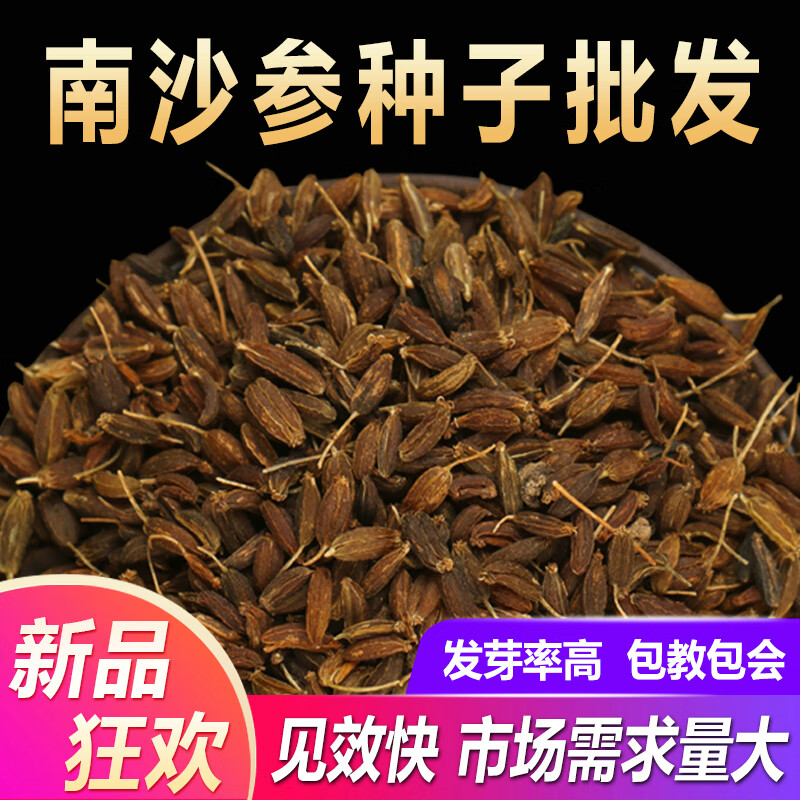 语安沙参种子散装中药材种植苗2024年新产南沙参种子北沙参种籽苗 南