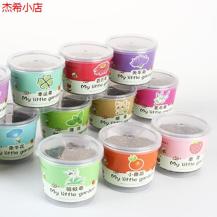 章杰兒童DIY種植小盆栽負(fù)離子水培盆景室內(nèi)擺件學(xué)生獎品迷你綠植 小豆丁盆栽款式隨機(jī)