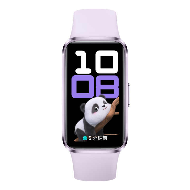 华为（HUAWEI）手环10 标准版 