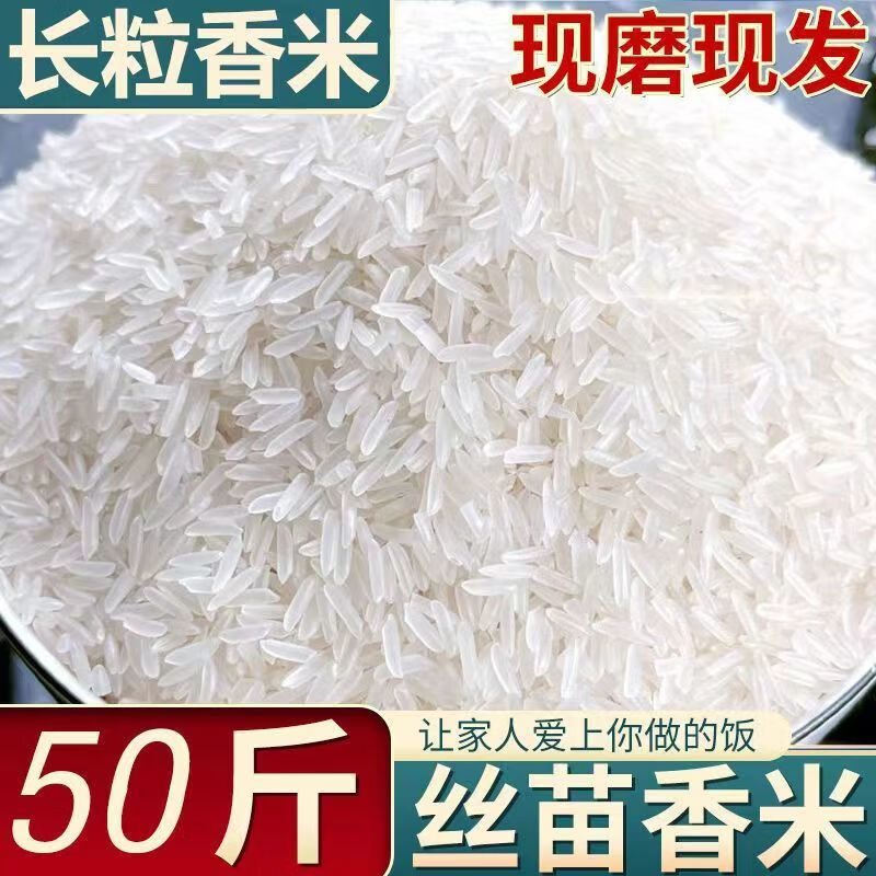 红允正宗猫牙米超长长粒香米晚稻米软糯新米细长大米50斤20斤10斤1斤 长粒香米 1斤
