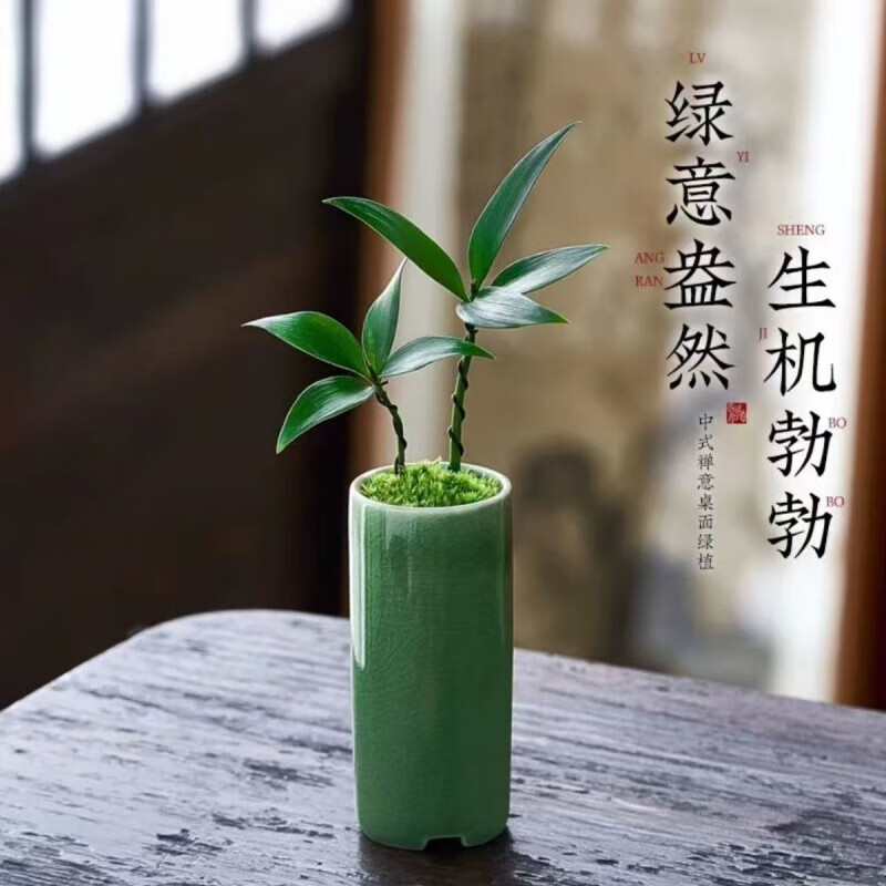 ���������֡���������辰С�������ò�ֲ�����ڻ��ܰ칫������ ���+���մ���+����+̦޺���Ժ� ���