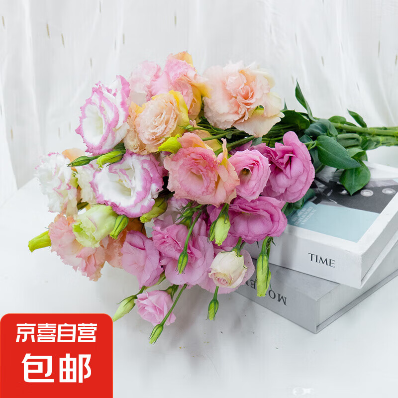 云南鲜切花云南鲜花基地直发花束搭配节日礼物花束3 香槟洋桔梗300g【20-30个花苞】