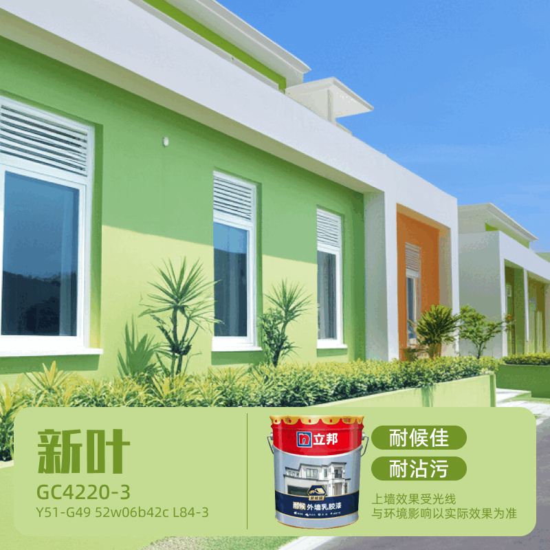 ���� ��ǽ�� 20kg*1��