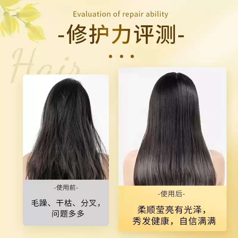 舒蕾SLEK/舒蕾奇焕精油护发膜植萃精华深层多效烫染修护倒膜护发顺滑 奇焕精油修护发膜260g*3支