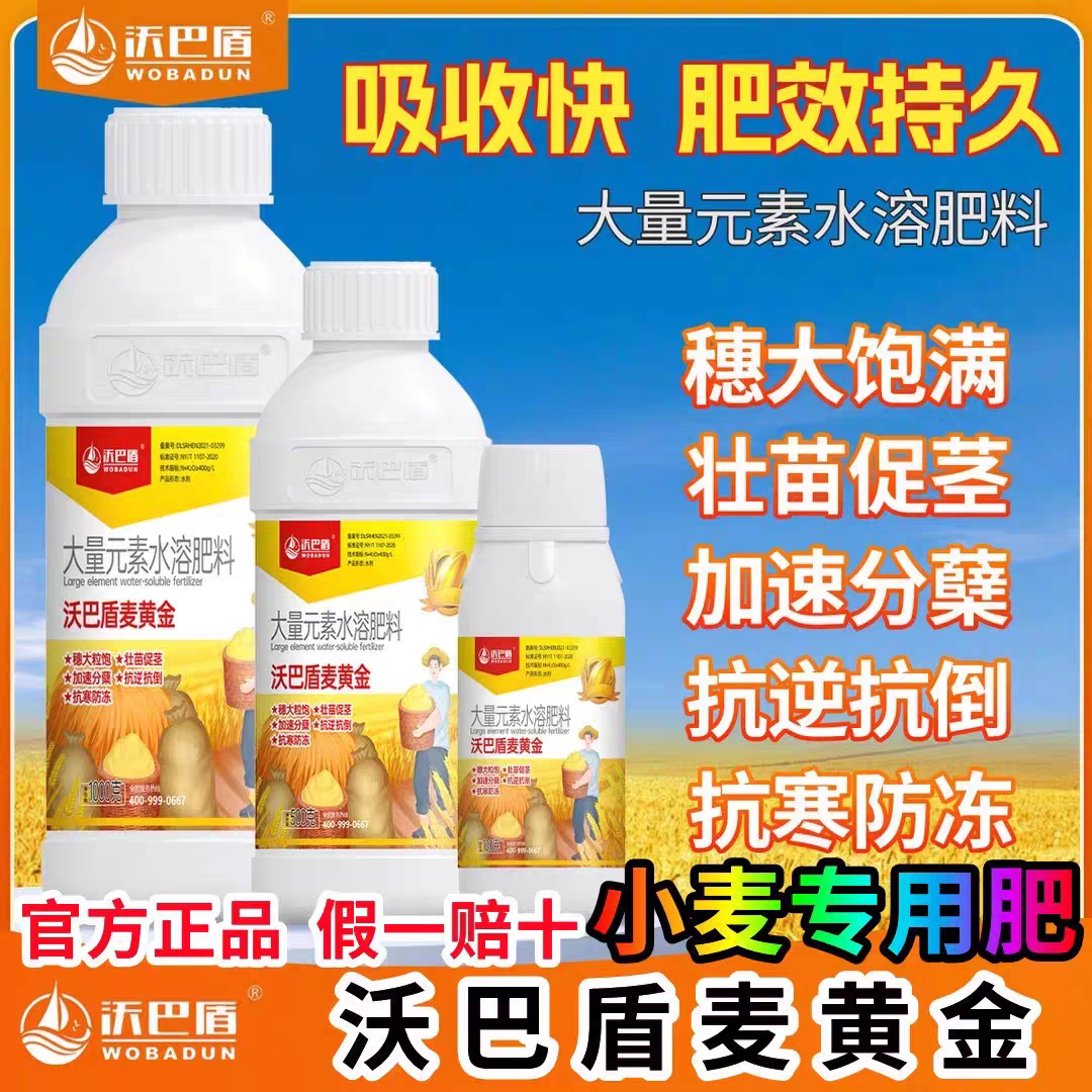 沃巴盾麦黄金壮苗抗逆抗倒伏穗大粒饱分蘖抗寒防冻小麦专用叶面肥 1kg(1瓶)