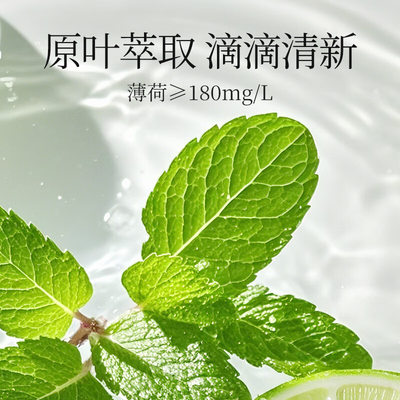 宜简青柠味薄荷水天然草本萃取0防腐剂夏季清凉饮料【冷藏风味更佳】 薄荷水360ml*12瓶