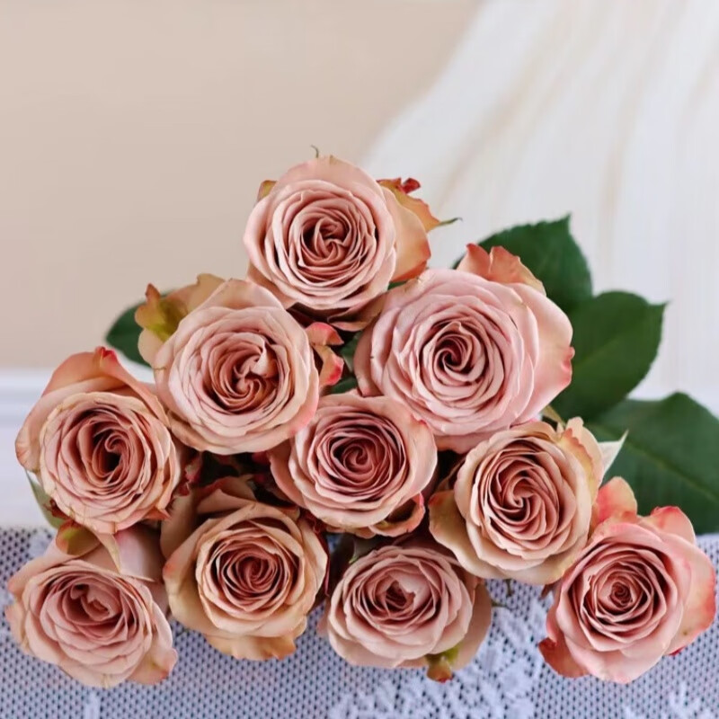 卡布奇诺单头玫瑰鲜花小苍兰香雪兰鲜花云南昆明基地直发鲜切花 【单头玫瑰卡布奇诺】20枝 花束整长40-50cm送保鲜剂