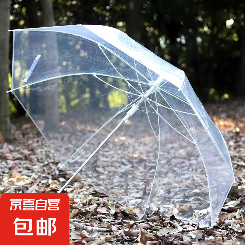 透明雨傘大號(hào)雙人男女網(wǎng)紅ins學(xué)生折疊長柄簡(jiǎn)約兒童雨傘批發(fā)定制 透明傘1把【中號(hào)】適合一個(gè)人
