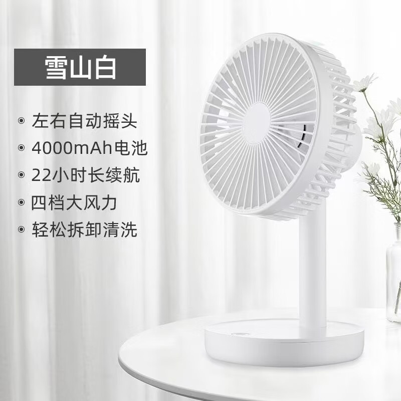 HYUNDAI风宝USB小风扇空气循环扇家用风扇台式电风扇小型轻音节能对流换气扇桌面风扇办公室学生小型电扇 雪山白【摇头款+充插两用+4000毫安】