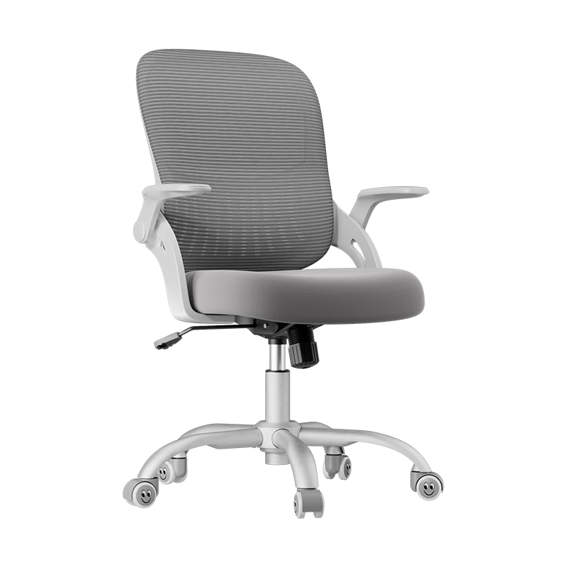 ����ˮĸ�����幤ѧ�μ��õ����ΰ칫��ѧϰ���鷿���ӻҿ����������339Ԫ