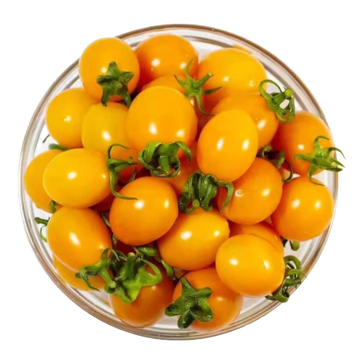 �������� ʥŮ�� ӣ��С���� ��ɫ����С���� 5����� 15.9Ԫ