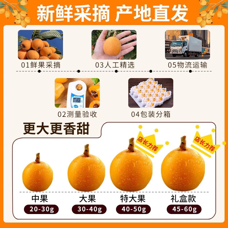 酷果汇四川枇杷新鲜水果【顺丰-多地次日达】当季甜枇杷早钟大五星琵琶 净重1.8斤+彩箱(30g+)【顺丰】 产地源头直发 品质甄选