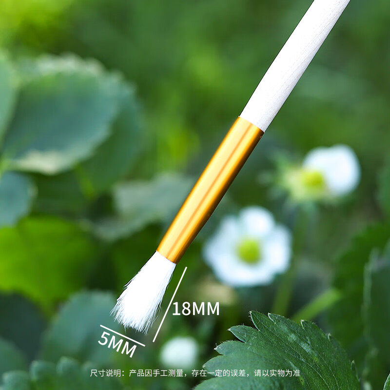 西樂人工授粉筆授粉器草莓多肉西紅柿無(wú)花果樹授粉神器花粉點(diǎn)花授粉刷 人工授粉筆-1號(hào)【1支裝】 無(wú)規(guī)格