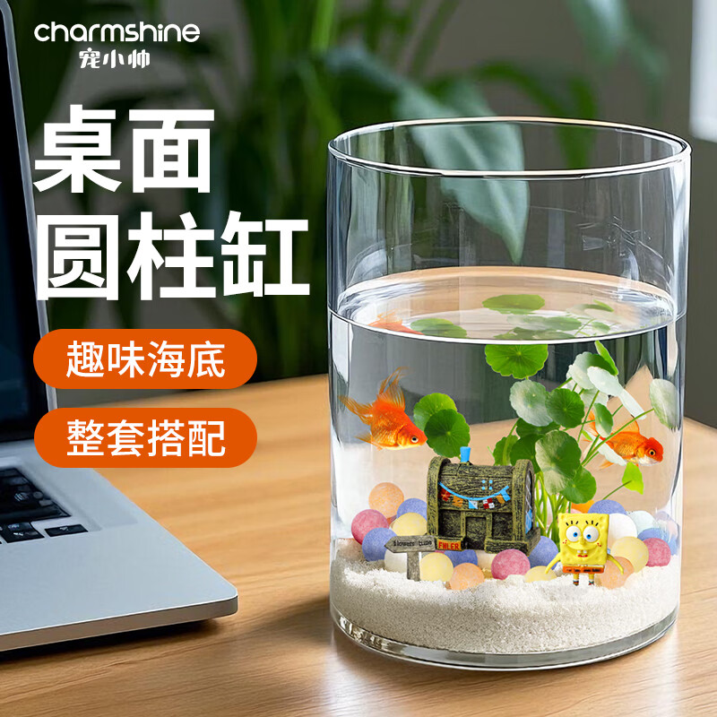 寵小帥生態(tài)圓柱缸小型客廳造景水草缸過濾制氧一體透明玻璃瓶桌面金魚缸 25*25CM圓柱缸【生態(tài)水景套餐】