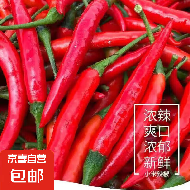 广西小米辣5斤新鲜特辣朝天椒红辣椒辣椒泡椒剁椒小米椒 新鲜小米辣 250g