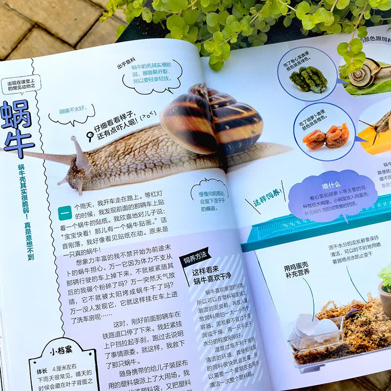 正版 全4册 你没想过的小动物系列 怎么饲养它们 去哪里寻找它们 超有趣的动物小知识 怎么捉住它们 小学生动物知识图文科普读物 课外书