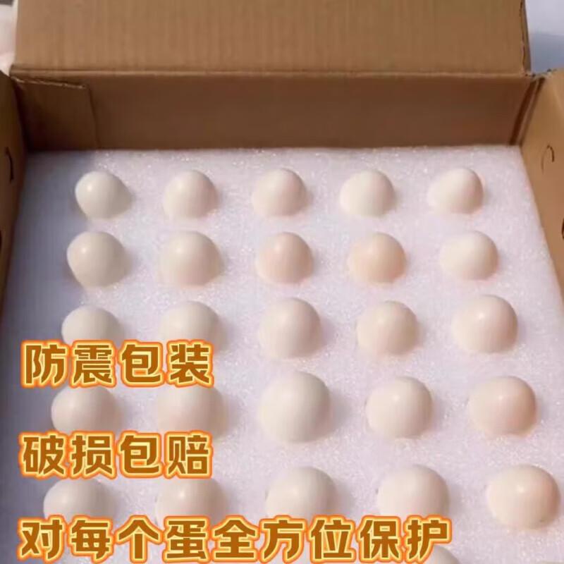 OIMG正宗农家散养新鲜鸽子蛋、土鸽笨鸽蛋、新鲜白鸽蛋、60枚 散养白鸽子蛋40枚