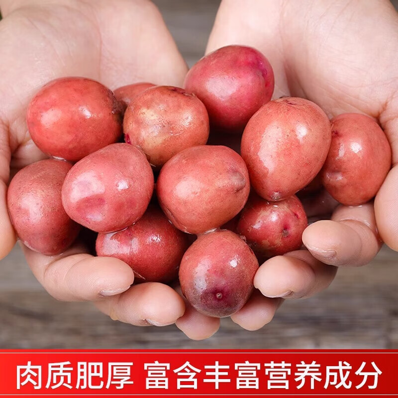 相遇红颜云南新鲜红皮土豆红皮黄心马铃薯农家自种洋芋高原现挖 5斤小果带箱(单果50-100g)